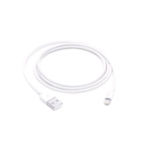 Apple Cavo Da Usb-A A Lightning 1 Mt Bianco - RMN negozio di elettronica